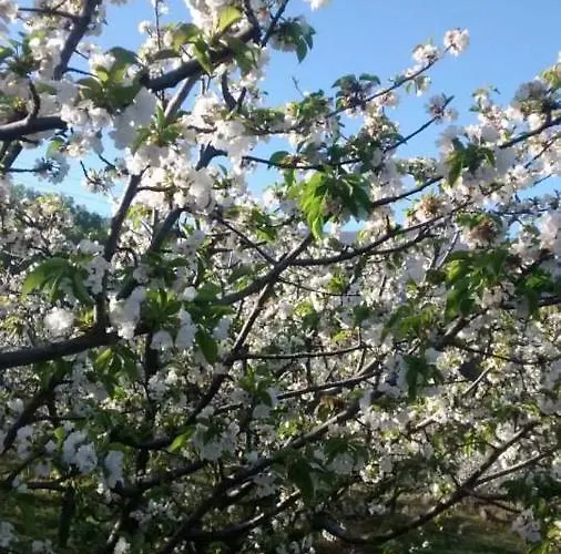 Venkovský dům Colmenarejo *