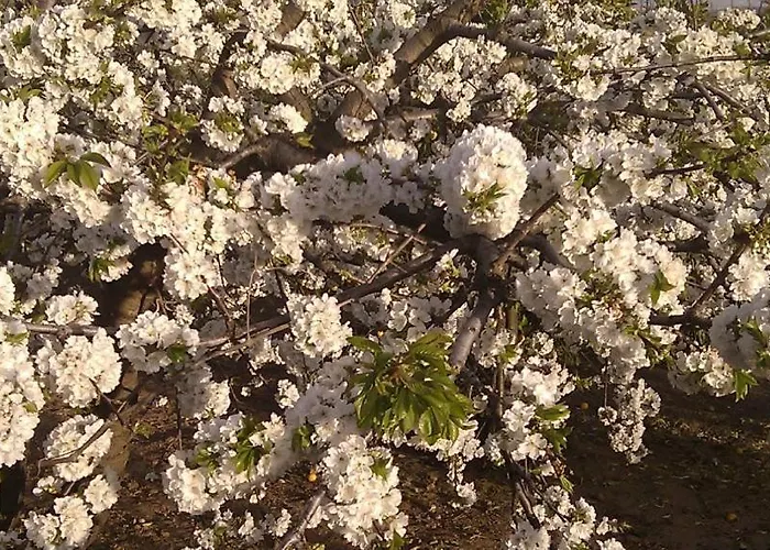 Venkovský dům Colmenarejo